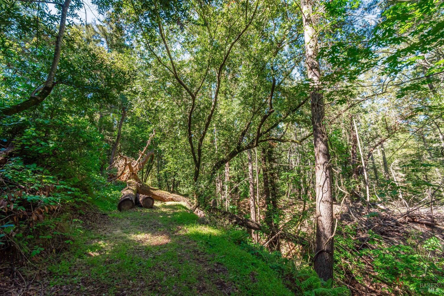 0 Dry Creek Road Napa CA 94558