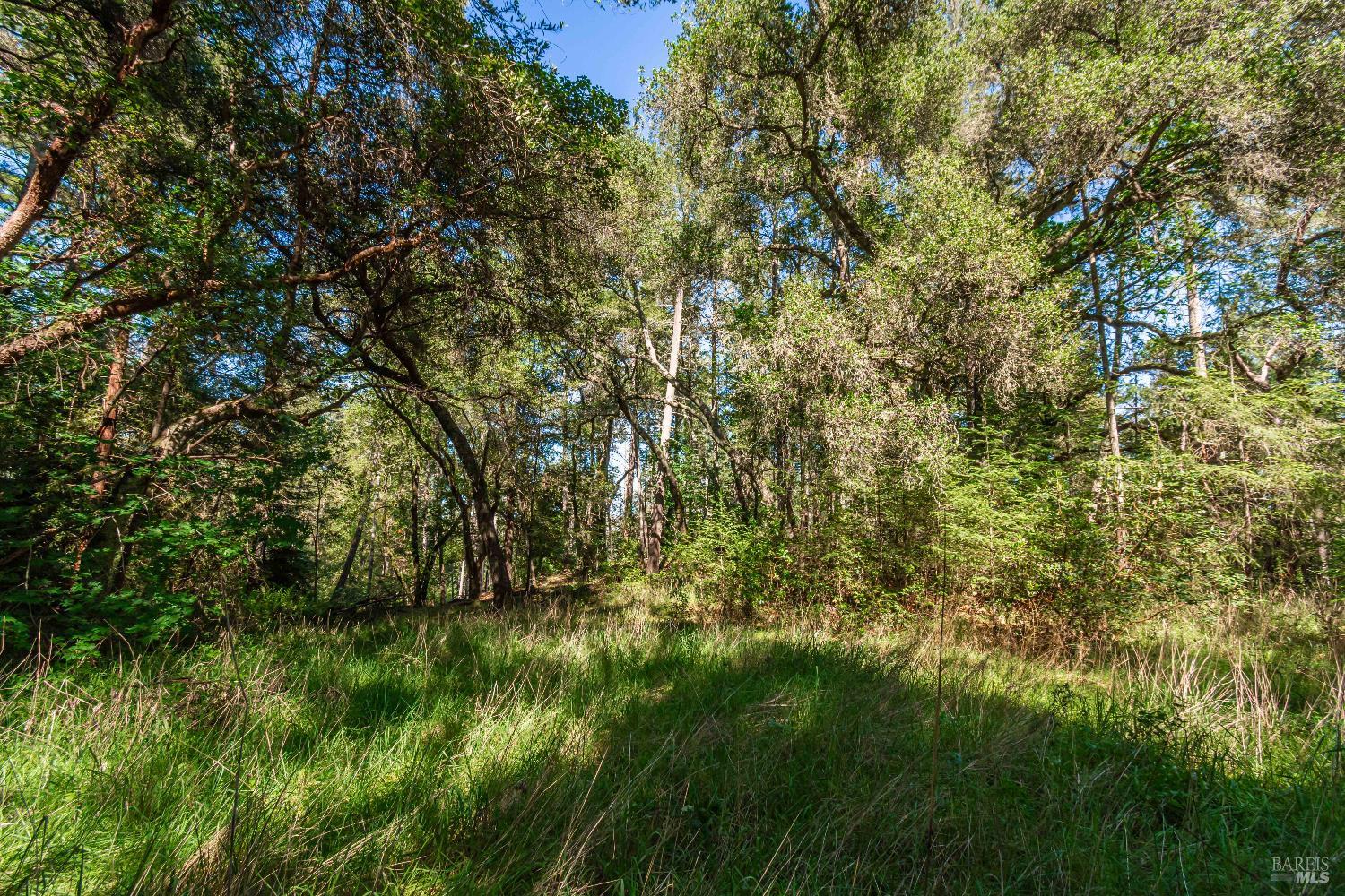 0 Dry Creek Road Napa CA 94558
