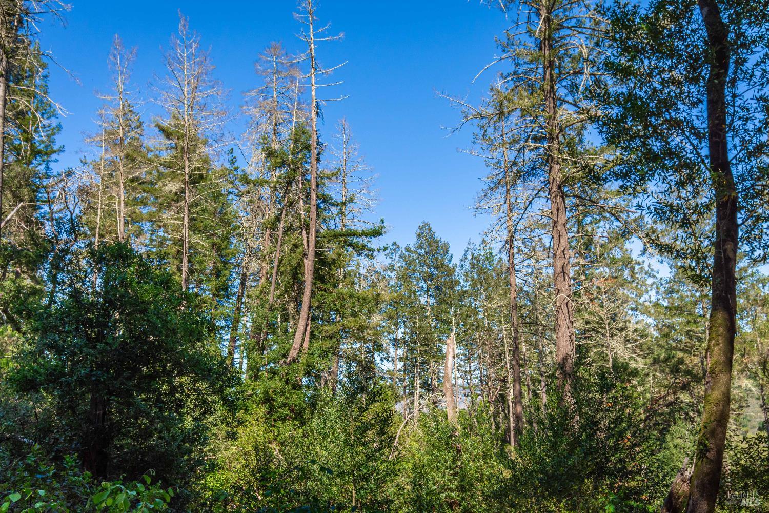 0 Dry Creek Road Napa CA 94558