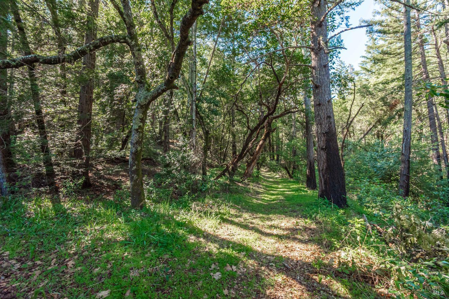 0 Dry Creek Road Napa CA 94558