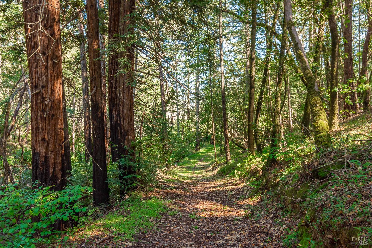 0 Dry Creek Road Napa CA 94558