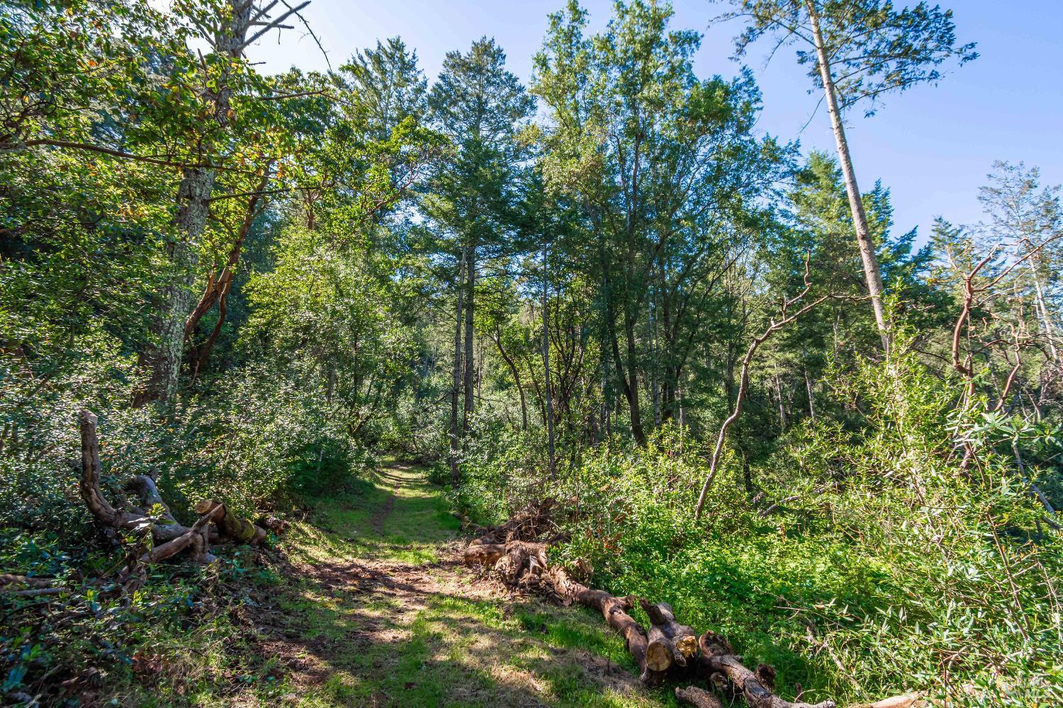 0 Dry Creek Road Napa CA 94558