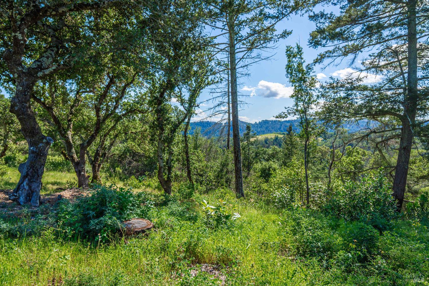 0 Dry Creek Road Napa CA 94558