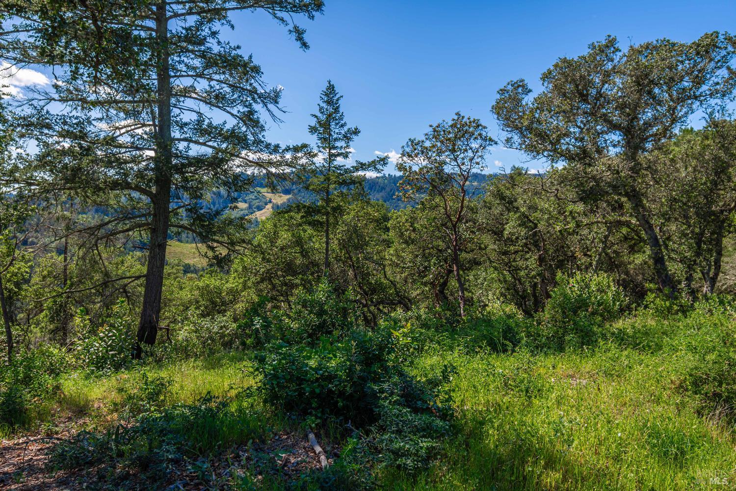 0 Dry Creek Road Napa CA 94558