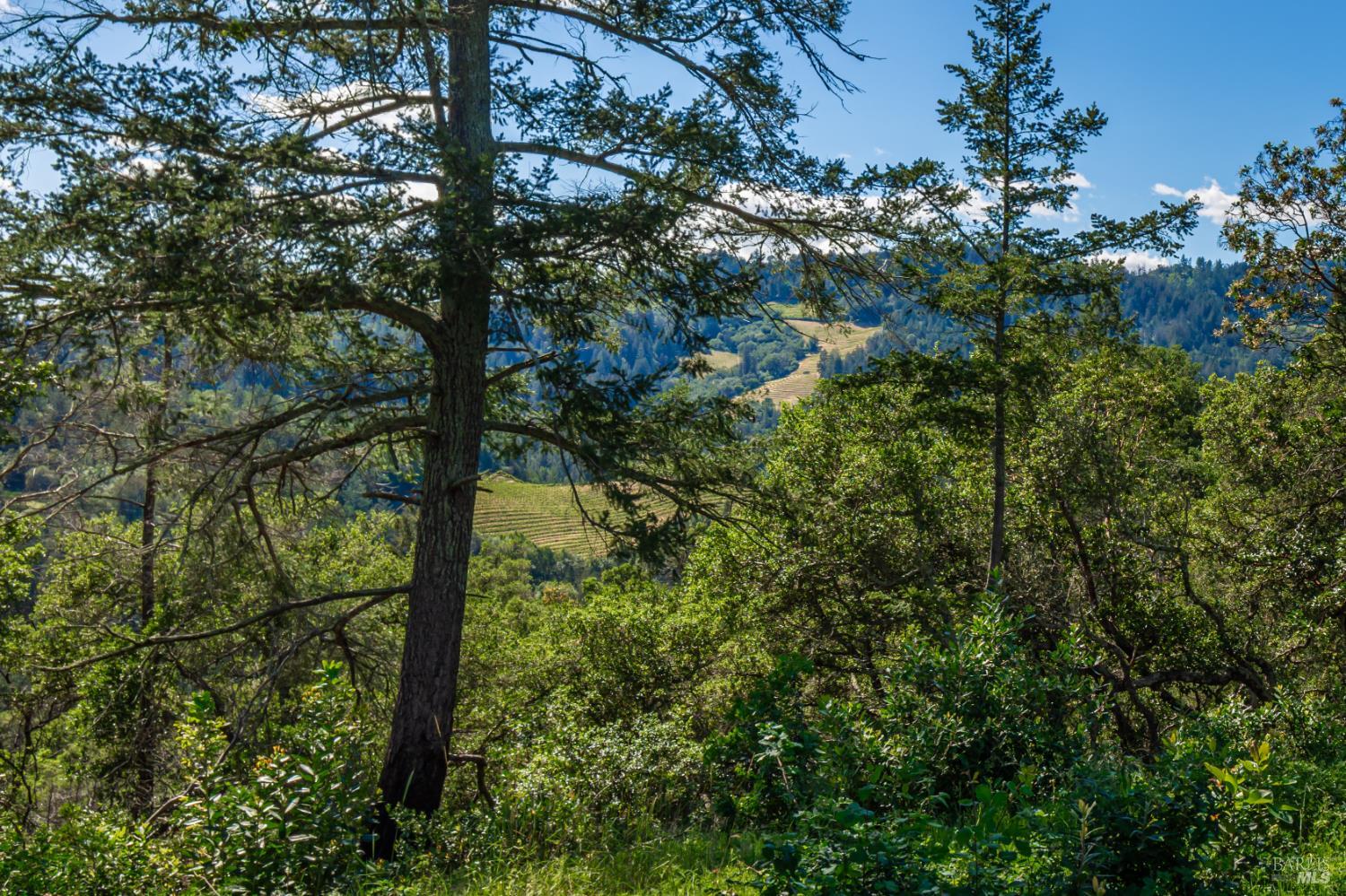 0 Dry Creek Road Napa CA 94558