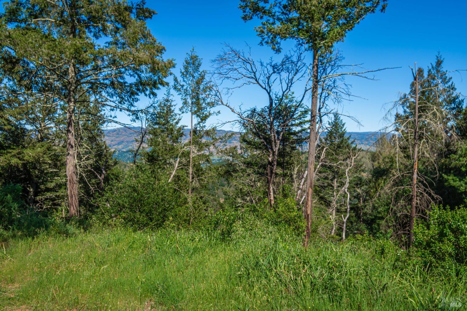 0 Dry Creek Road Napa CA 94558