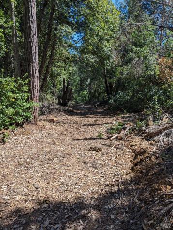 30928 King Ridge Road Cazadero CA 95421