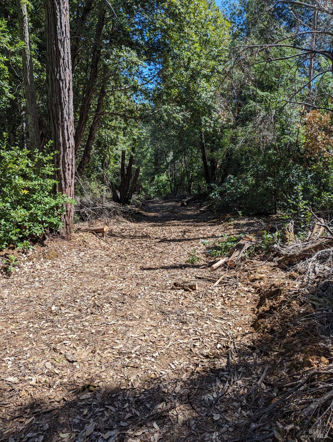 30928 King Ridge Road Cazadero CA 95421