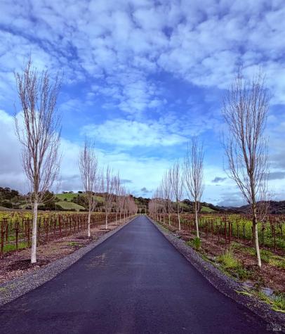 1276 Jensen Lane Windsor CA 95492