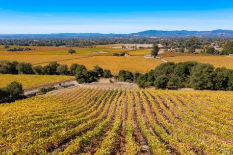 1276 Jensen Lane Windsor CA 95492