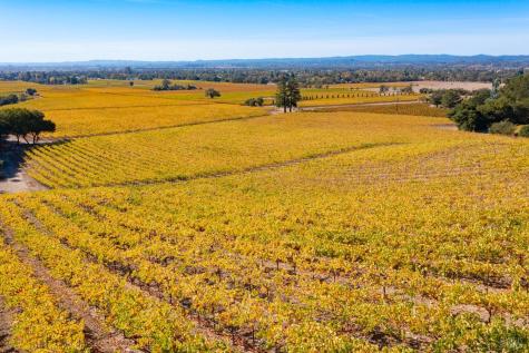 1276 Jensen Lane Windsor CA 95492