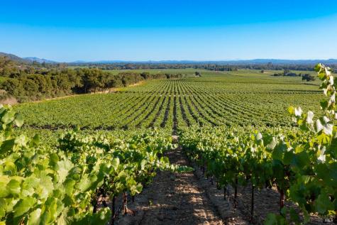 1276 Jensen Lane Windsor CA 95492