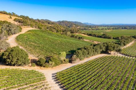 1276 Jensen Lane Windsor CA 95492