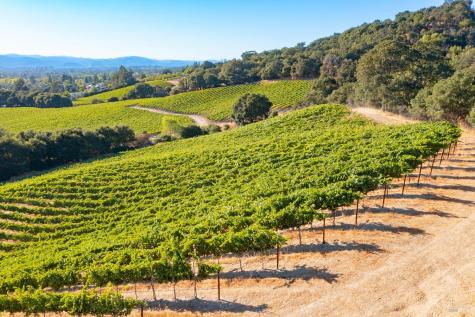 1276 Jensen Lane Windsor CA 95492