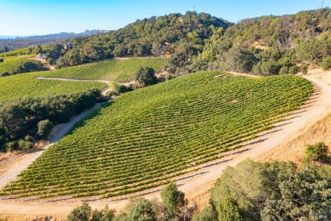 1276 Jensen Lane Windsor CA 95492