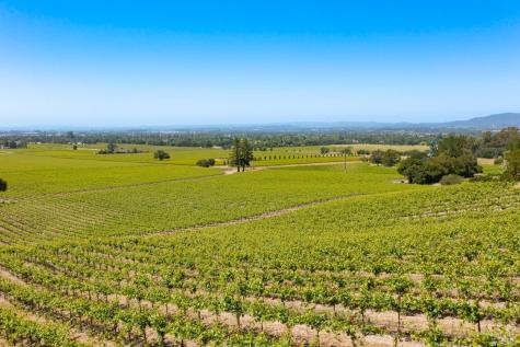 1276 Jensen Lane Windsor CA 95492