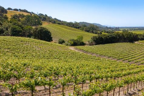 1276 Jensen Lane Windsor CA 95492