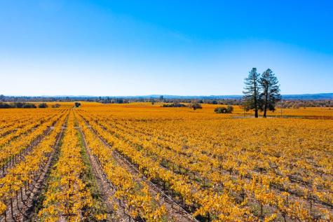 1276 Jensen Lane Windsor CA 95492