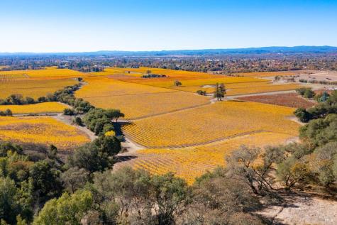 1276 Jensen Lane Windsor CA 95492