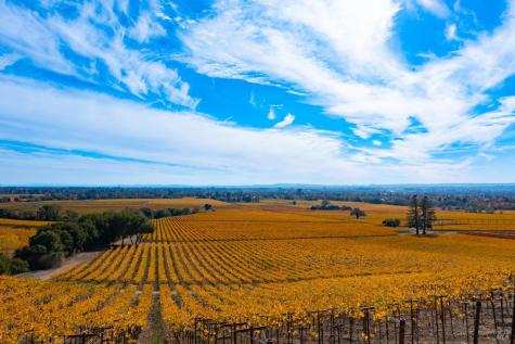 1276 Jensen Lane Windsor CA 95492