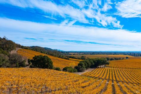 1276 Jensen Lane Windsor CA 95492