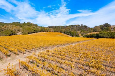 1276 Jensen Lane Windsor CA 95492