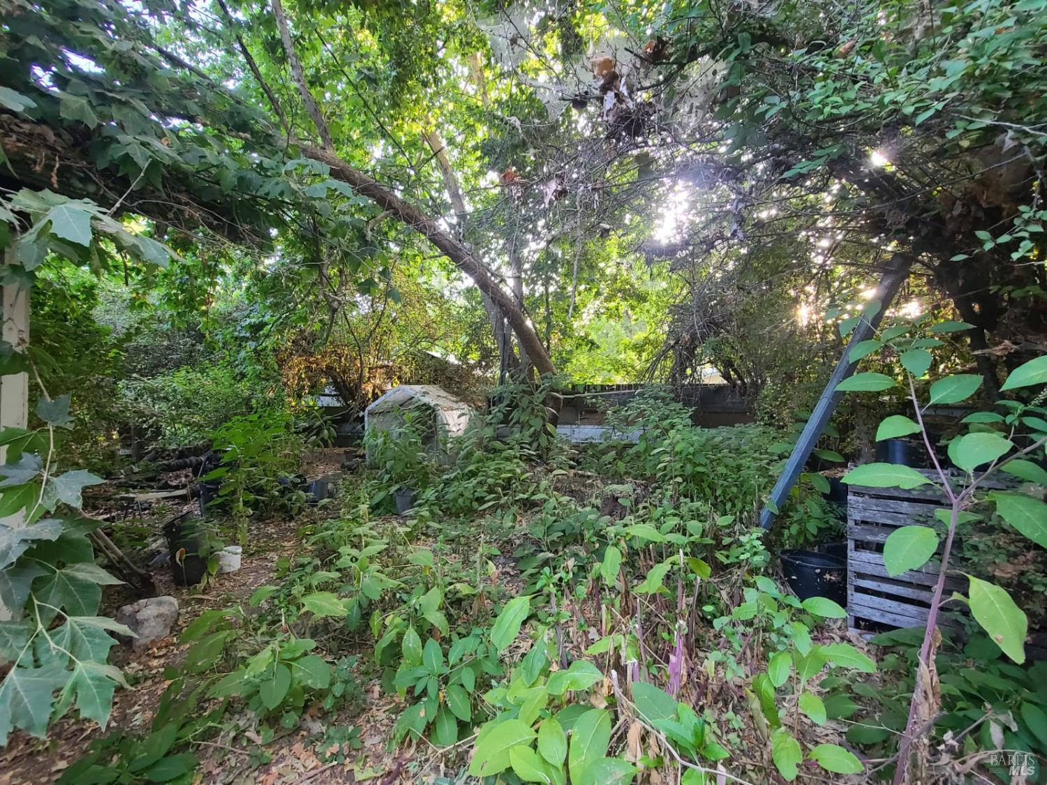 23875 Howard Street Covelo CA 95428