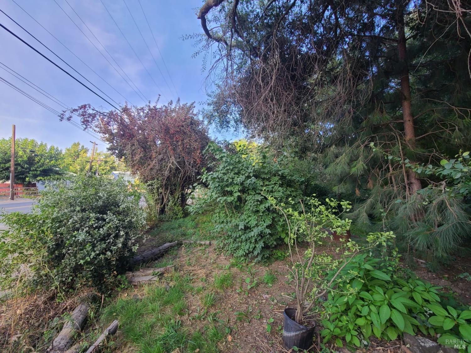 23875 Howard Street Covelo CA 95428