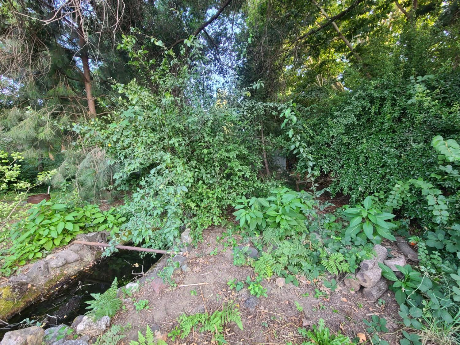 23875 Howard Street Covelo CA 95428