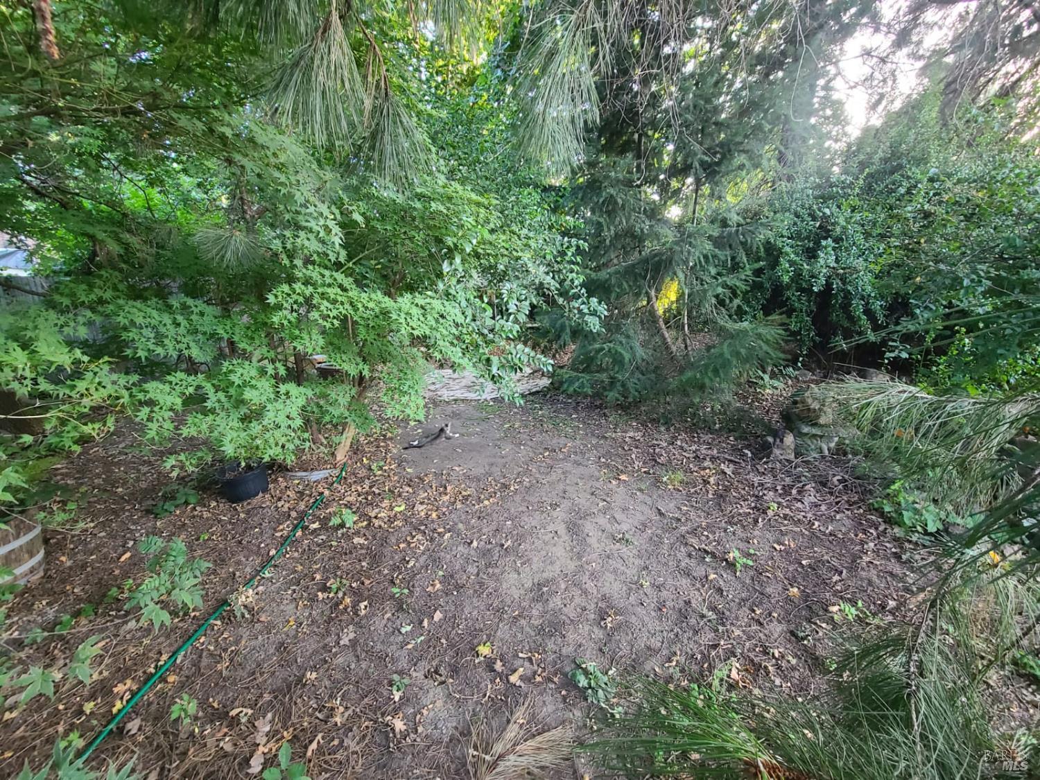 23875 Howard Street Covelo CA 95428