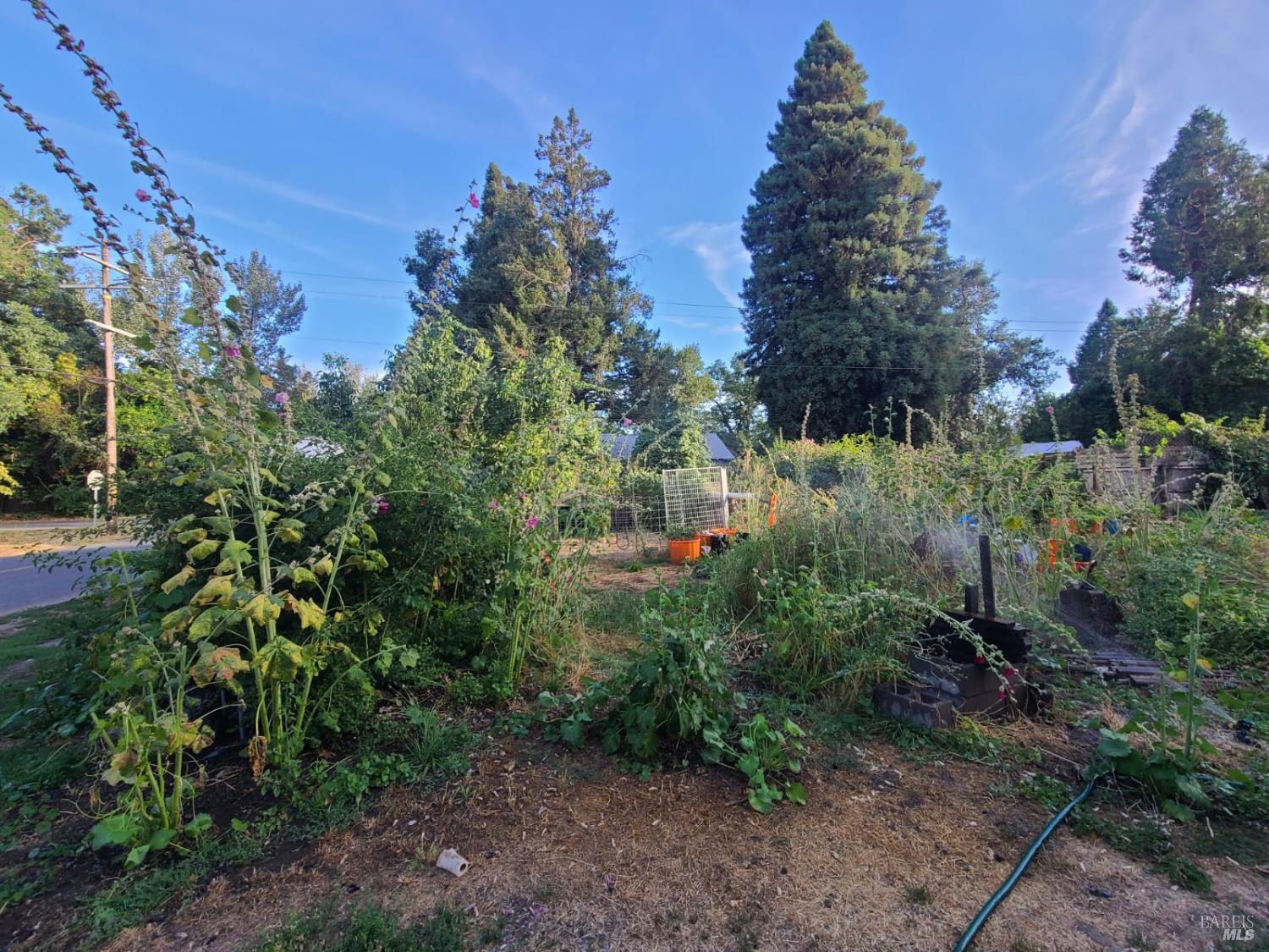 23875 Howard Street Covelo CA 95428