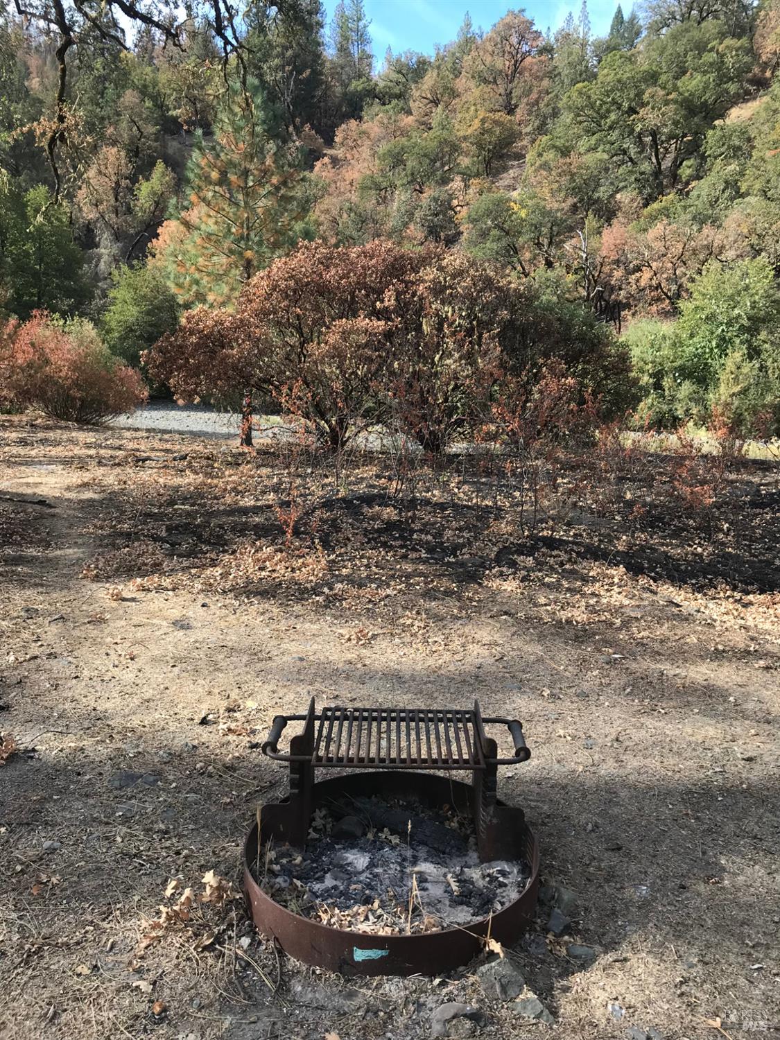 2168 Bear Creek Road Upper Lake CA 95485