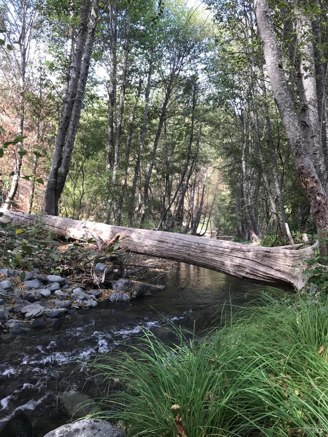 2168 Bear Creek Road Upper Lake CA 95485
