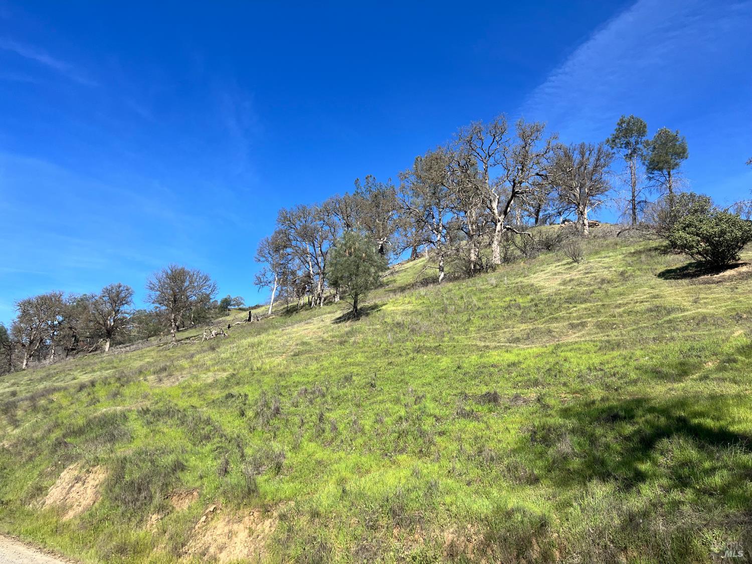 2286 New Long Valley Road Clearlake Oaks CA 95423