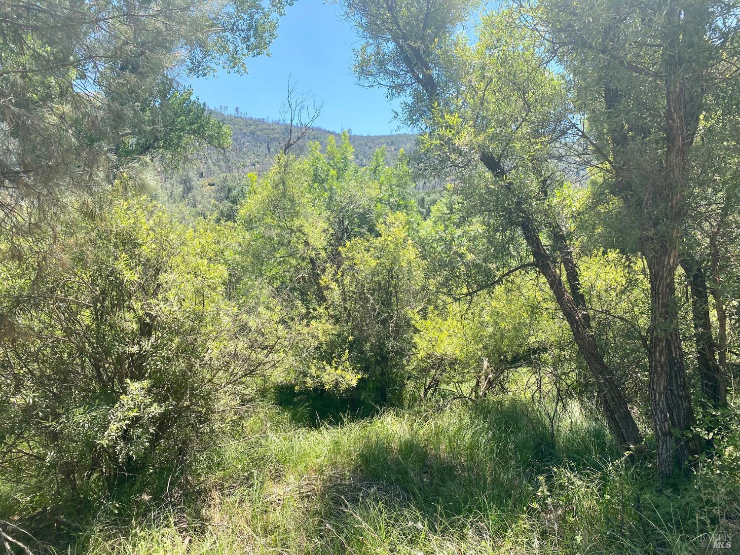 2286 New Long Valley Road Clearlake Oaks CA 95423