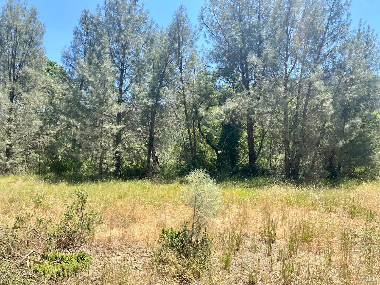 2286 New Long Valley Road Clearlake Oaks CA 95423