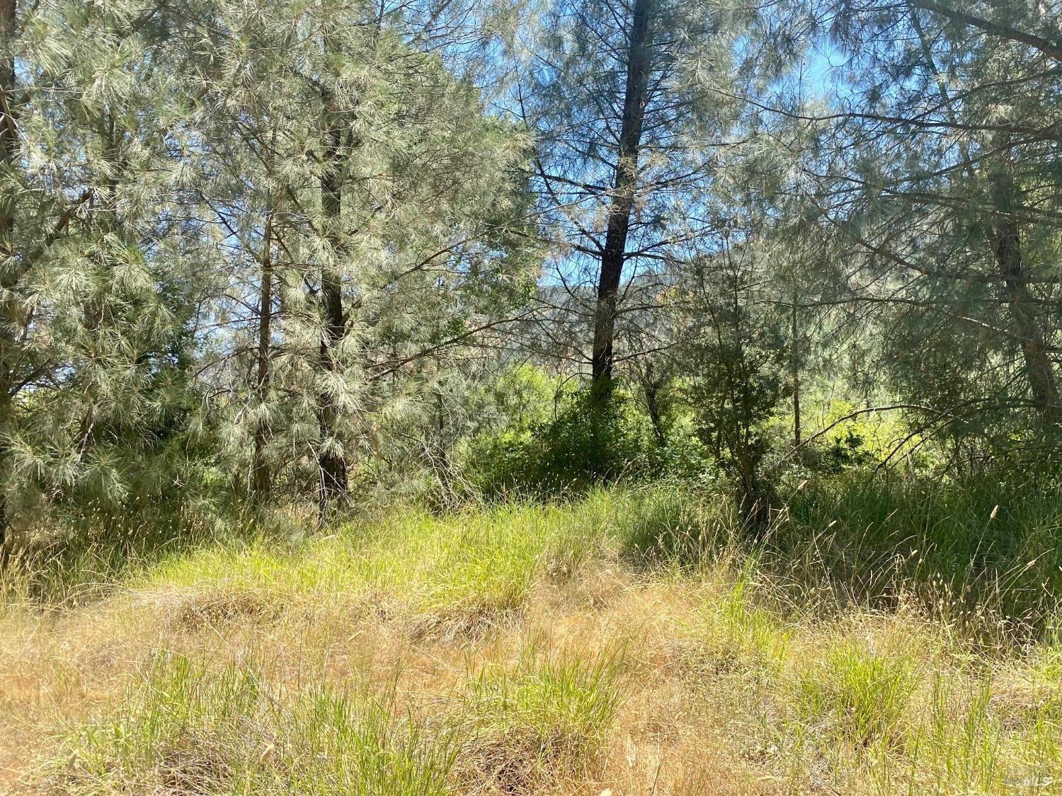 2286 New Long Valley Road Clearlake Oaks CA 95423