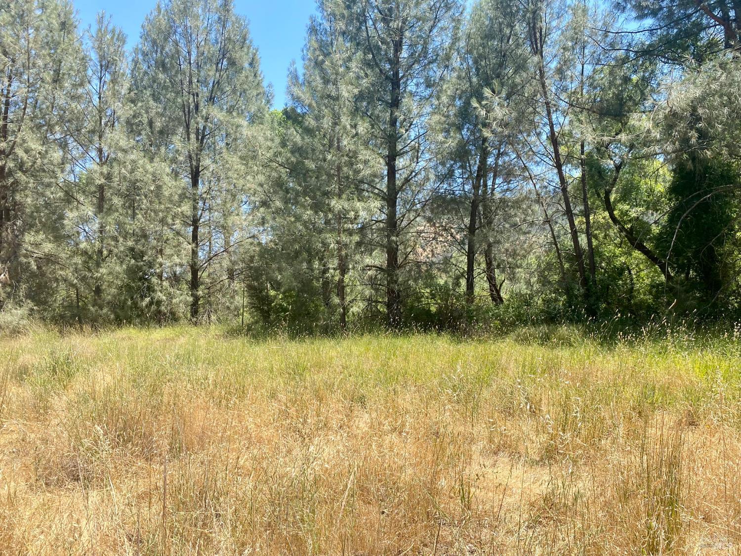 2286 New Long Valley Road Clearlake Oaks CA 95423