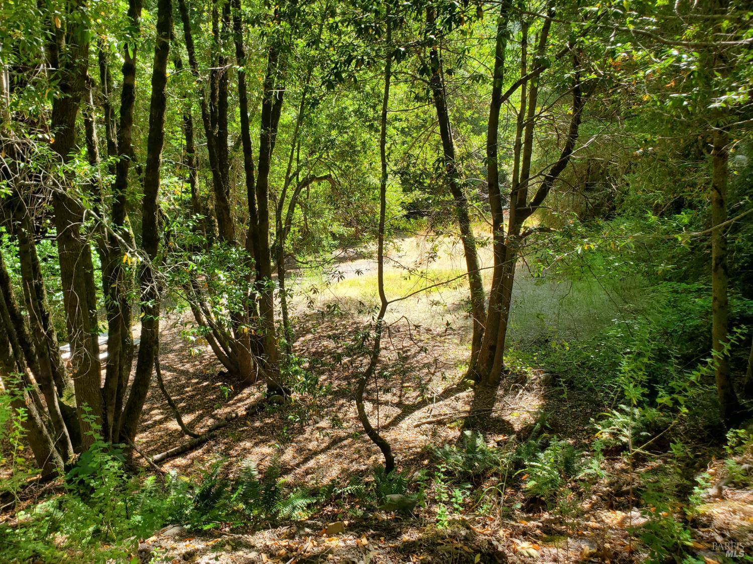 80050 Road 442b Road Piercy CA 95587