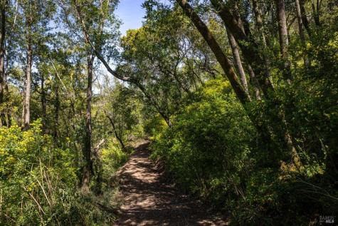 141 Granlee Road San Rafael CA 94903