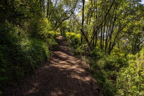 141 Granlee Road San Rafael CA 94903