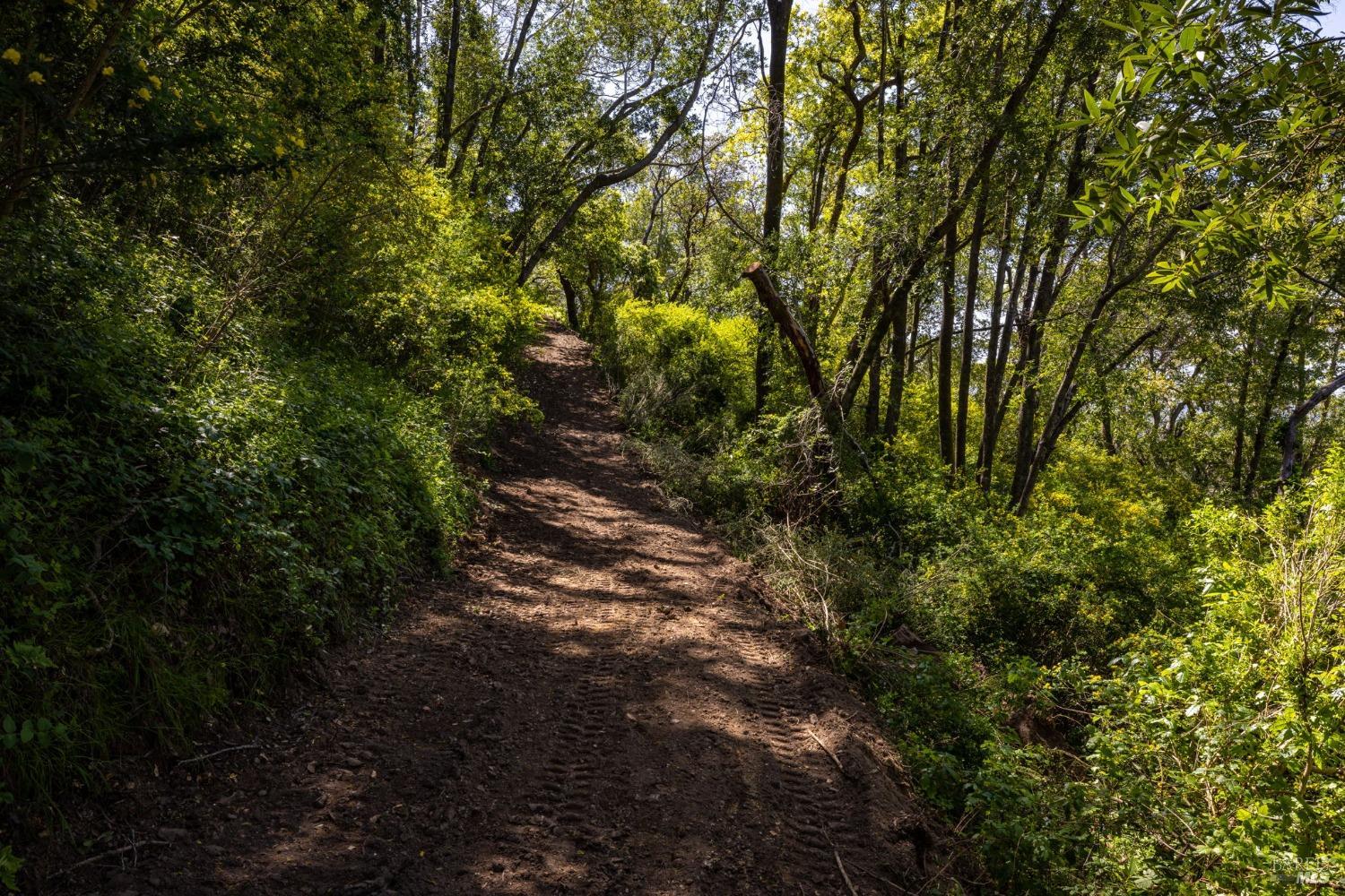 141 Granlee Road San Rafael CA 94903