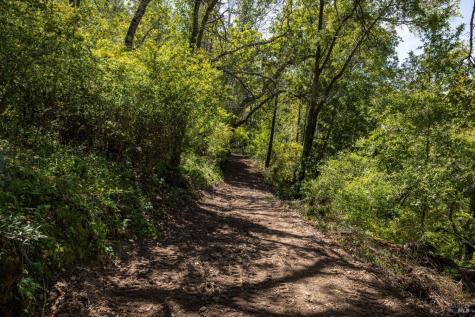 141 Granlee Road San Rafael CA 94903