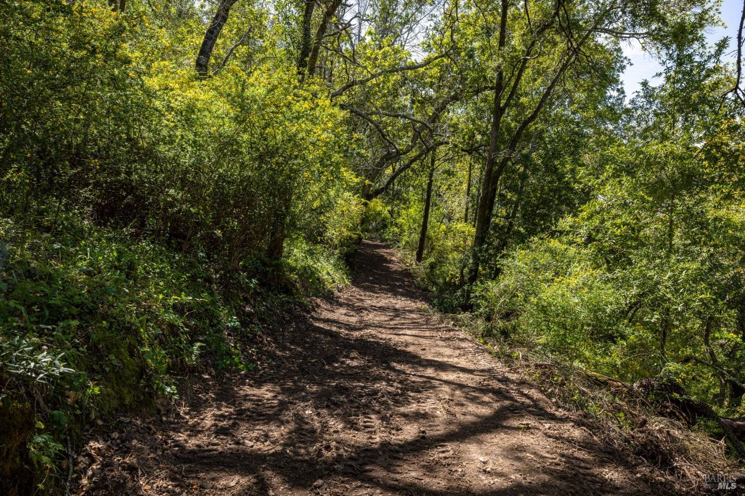 141 Granlee Road San Rafael CA 94903