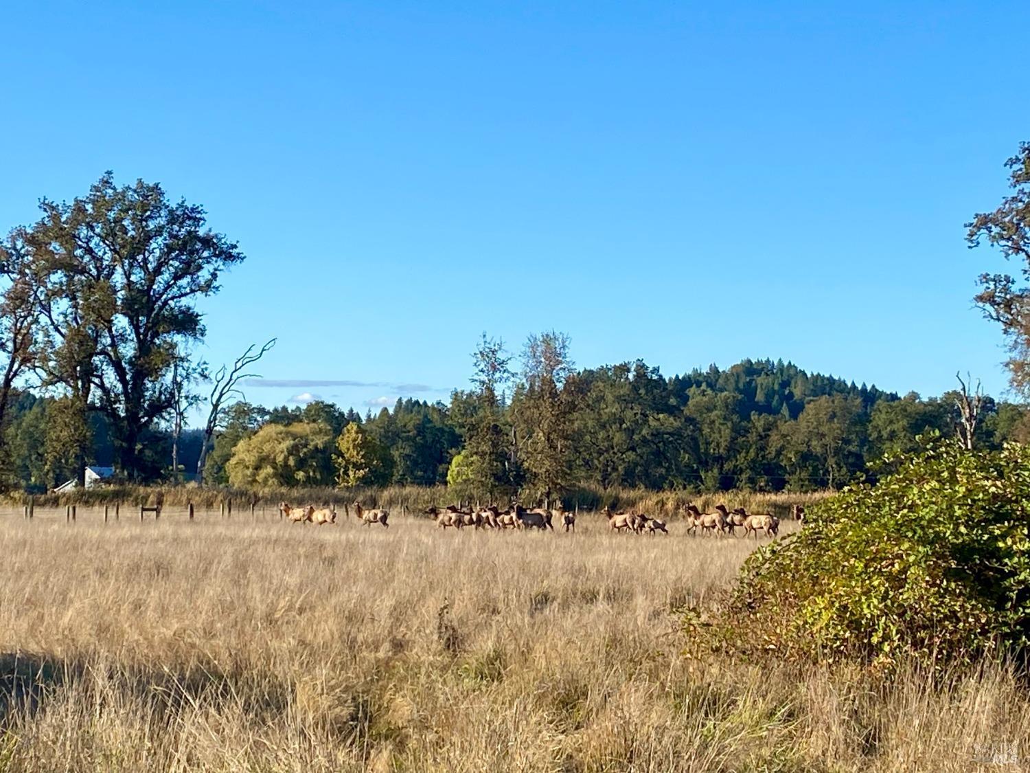 45100 Highway 101 Laytonville CA 95454