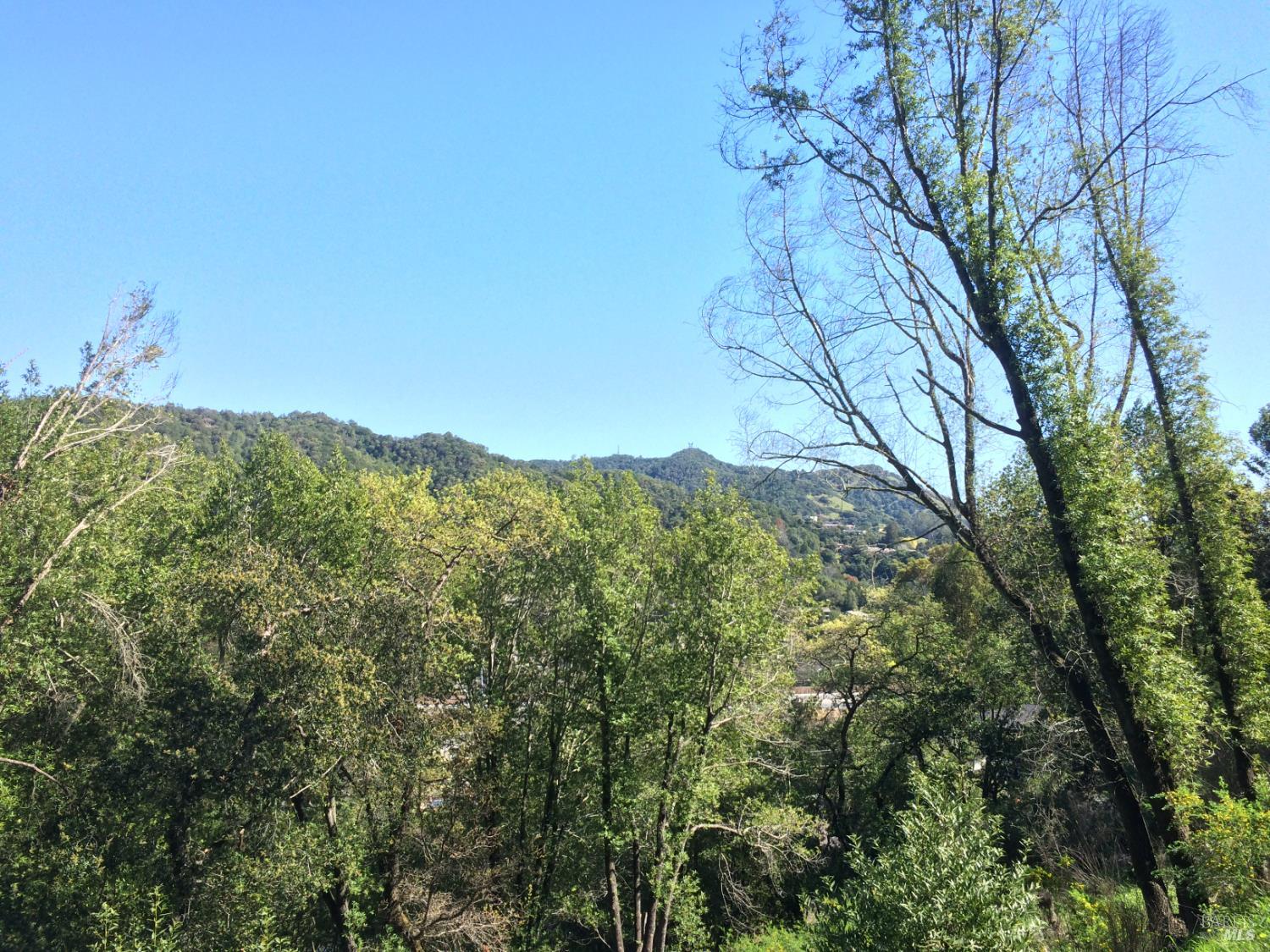 59 Fair Drive San Rafael CA 94915