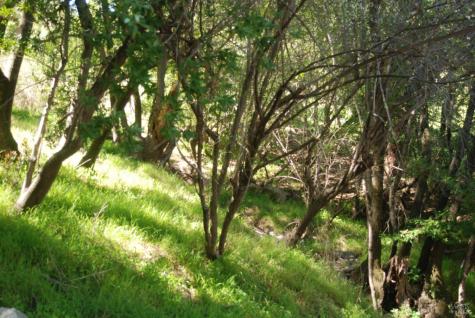 59 Fair Drive San Rafael CA 94915