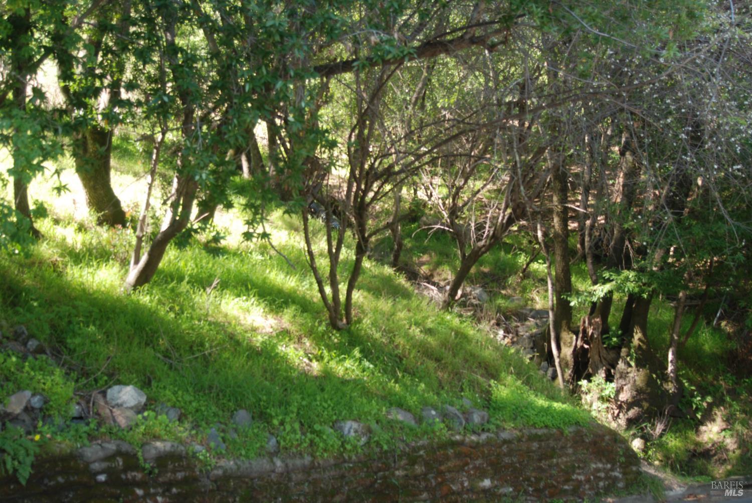 59 Fair Drive San Rafael CA 94915