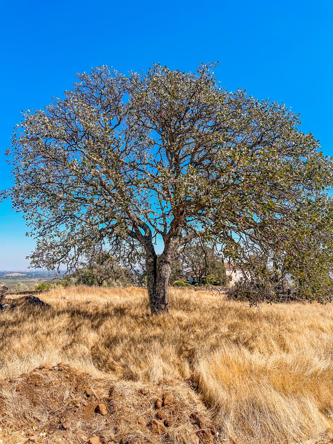 4355 Stonefield Lane Fairfield CA 94534