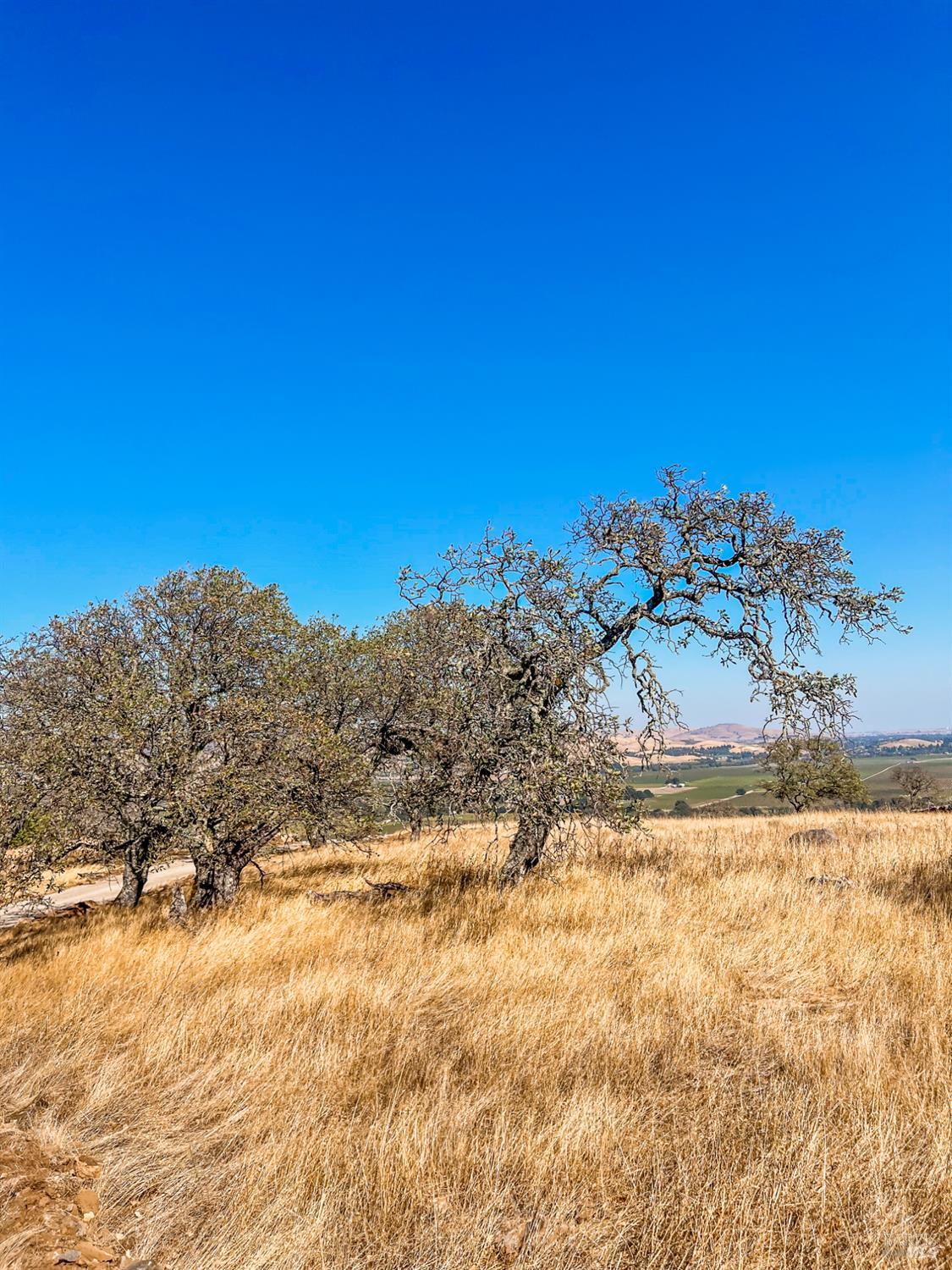 4355 Stonefield Lane Fairfield CA 94534